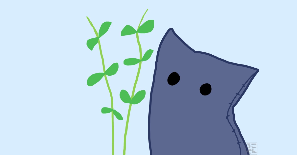 豆苗を育てるこんちゃん